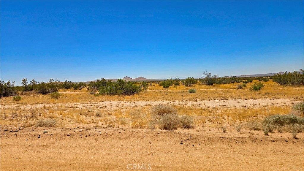 Image 8 of property listing at 0 Rudnick Blvd near 130th St, California City, CA 93505