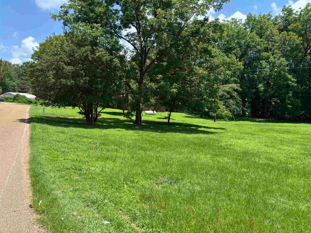3806 BLUFF RD, Hernando, MS 38632