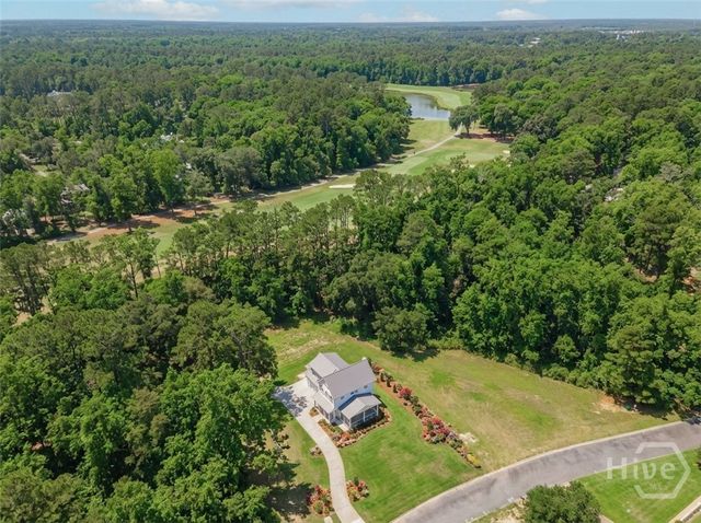 213 Little Lulu Lane, Richmond Hill, GA 31324