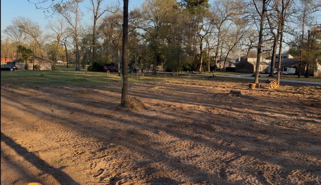 1603 Sungail Dr Drive, Spring, TX 77386