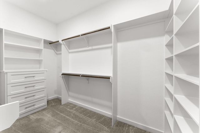 17714 Cypress Hill Drive, Rosharon, TX 77583