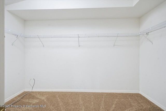 4724 Birchfield Loop, Spring Hill, FL 34609