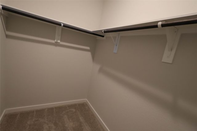 8579 Blueberry Ash St, Magnolia, TX 77354