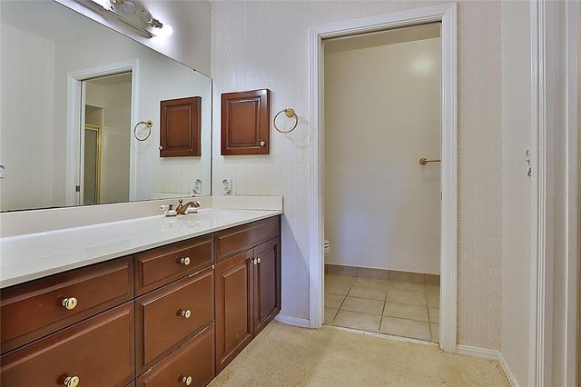 10502 LAKE CARROLL WAY, Tampa, FL 33618