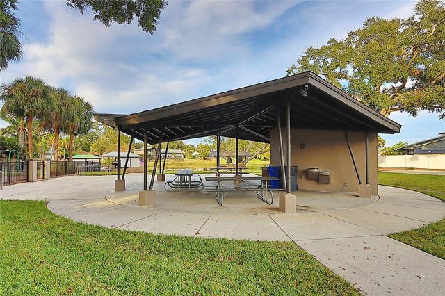 10502 LAKE CARROLL WAY, Tampa, FL 33618