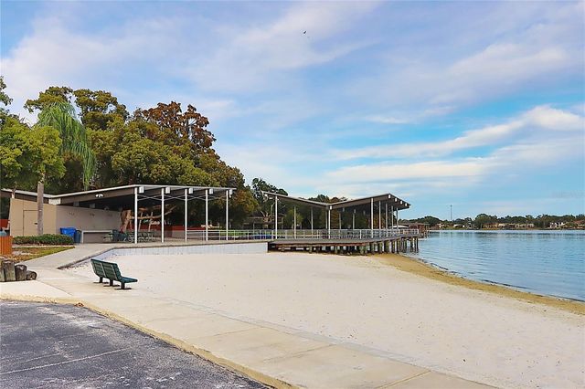 10502 LAKE CARROLL WAY, Tampa, FL 33618