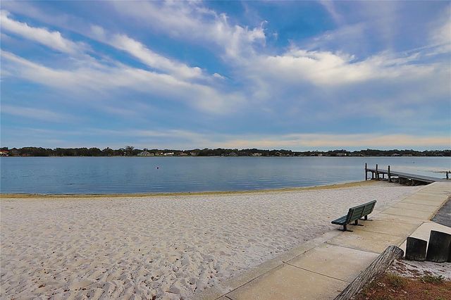 10502 LAKE CARROLL WAY, Tampa, FL 33618