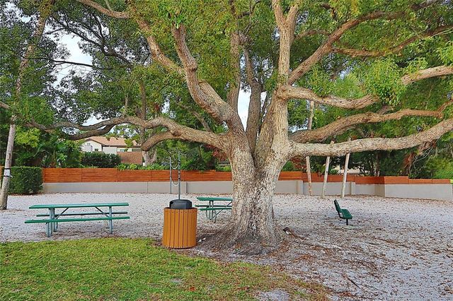 10502 LAKE CARROLL WAY, Tampa, FL 33618