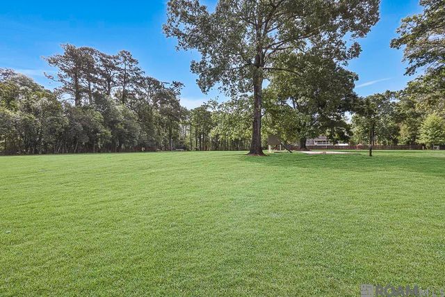 18485 H H Wilson Rd, Prairieville, LA 70769