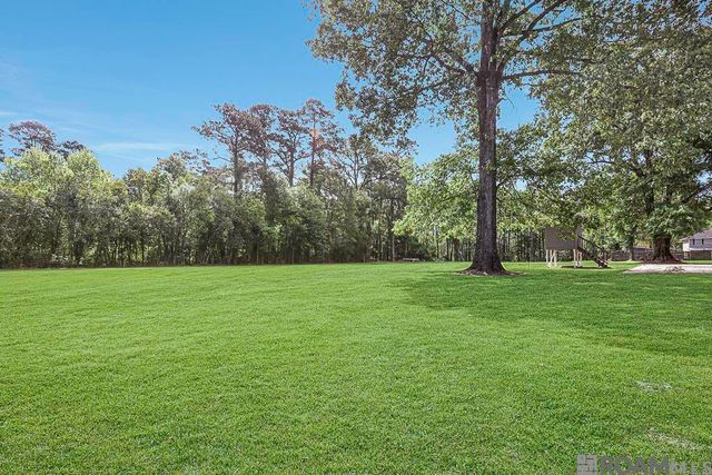 18485 H H Wilson Rd, Prairieville, LA 70769
