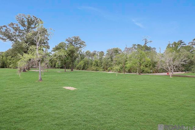 18485 H H Wilson Rd, Prairieville, LA 70769