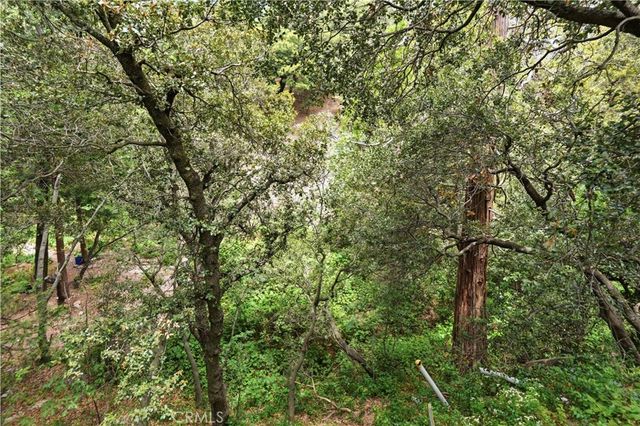 23404 Cloudview, Crestline, CA 92325