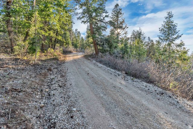 17029 S ALTA DR, Spanish Fork, UT 84660