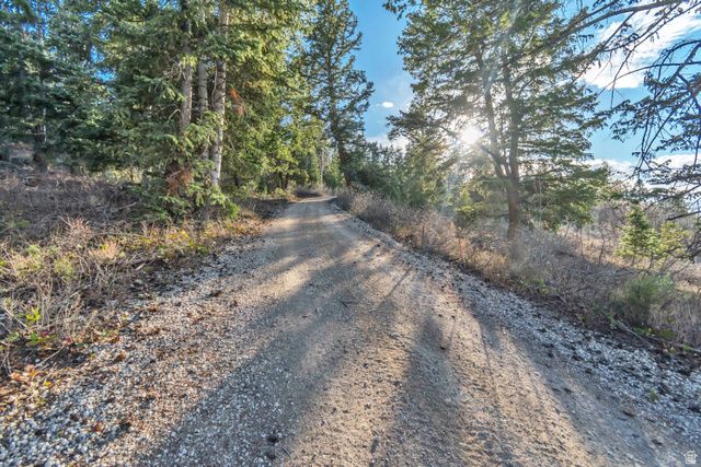 17029 S ALTA DR, Spanish Fork, UT 84660