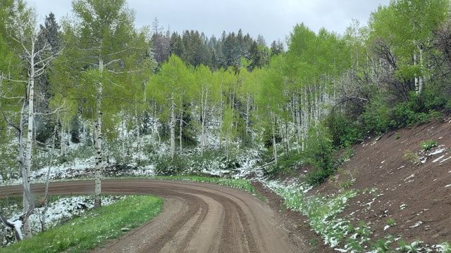 17029 S ALTA DR, Spanish Fork, UT 84660