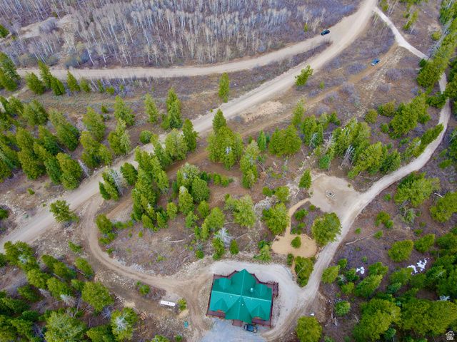 17029 S ALTA DR, Spanish Fork, UT 84660