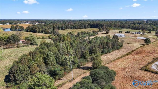 350 County Road 1653, Cullman, AL 35058