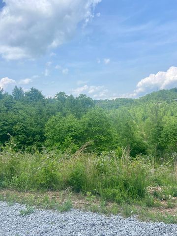 Lot 5 Sleepy Hollow Road, East Bernstadt, KY 40729