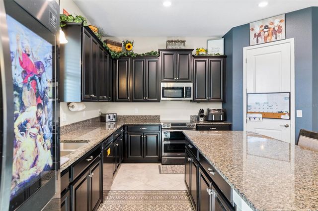 13208 SATIN LILY DRIVE, Riverview, FL 33579