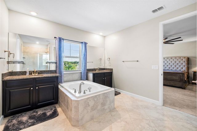 13208 SATIN LILY DRIVE, Riverview, FL 33579