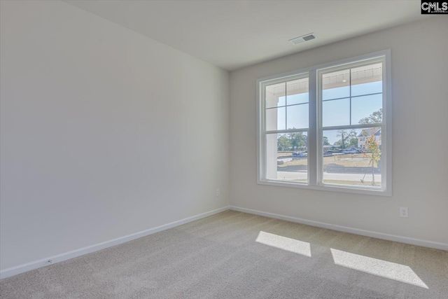 2100 Coral Daisy Trail, Lexington, SC 29073