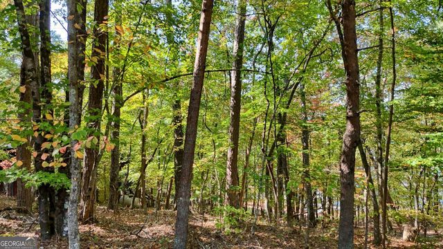 .76 ACRES Charlotte Circle, Blue Ridge, GA 30513