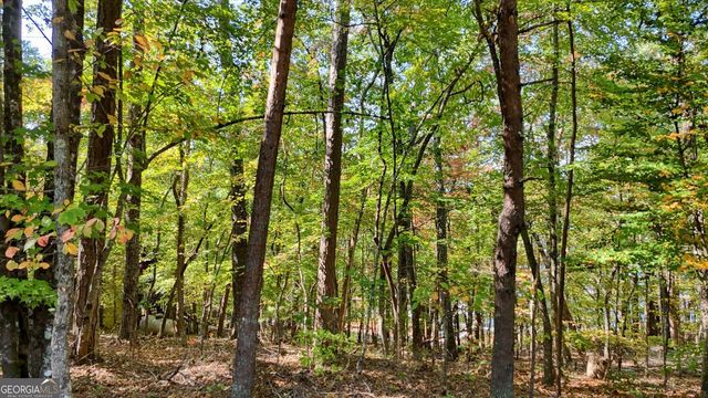 .76 ACRES Charlotte Circle, Blue Ridge, GA 30513