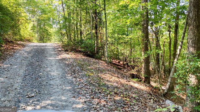 .76 ACRES Charlotte Circle, Blue Ridge, GA 30513