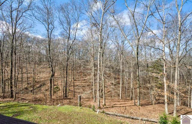 81 Pier Ln Pier Ln, Murray, KY 42071