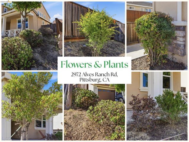 2972 Alves Ranch Rd, Pittsburg, CA 94565
