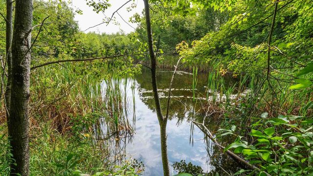 N9417 COUNTY ROAD H, Gleason, WI 54435