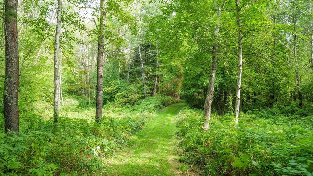 N9417 COUNTY ROAD H, Gleason, WI 54435