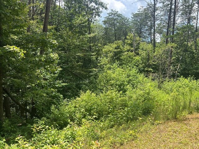 142 Waldrop Lane, Copperhill, TN 37317