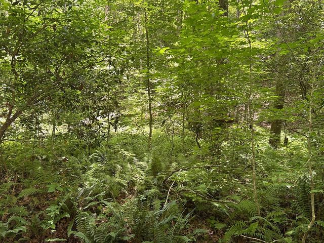 142 Waldrop Lane, Copperhill, TN 37317