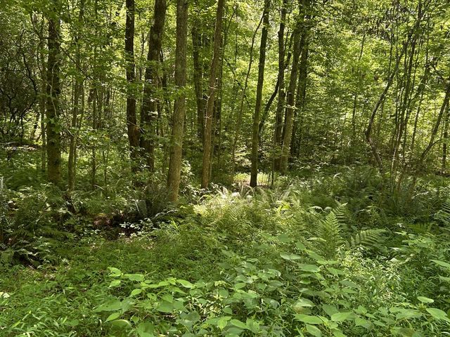 142 Waldrop Lane, Copperhill, TN 37317