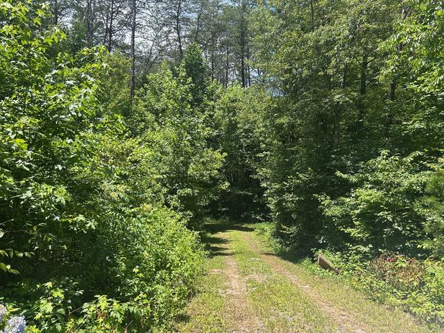 142 Waldrop Lane, Copperhill, TN 37317