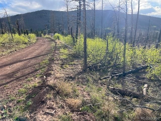 2248 Buonaventura Ln, Fort Garland, CO 81133