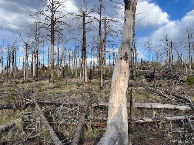 2248 Buonaventura Ln, Fort Garland, CO 81133