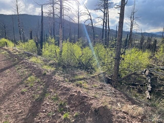 2248 Buonaventura Ln, Fort Garland, CO 81133
