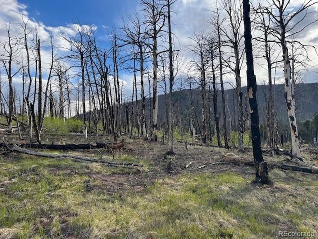 2248 Buonaventura Ln, Fort Garland, CO 81133