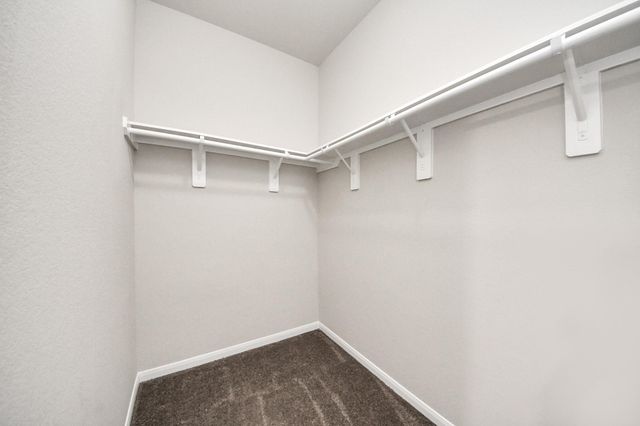 11009 Cathedral Peak Drive, Rosharon, TX 77583