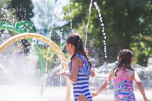 11009 Cathedral Peak Drive, Rosharon, TX 77583