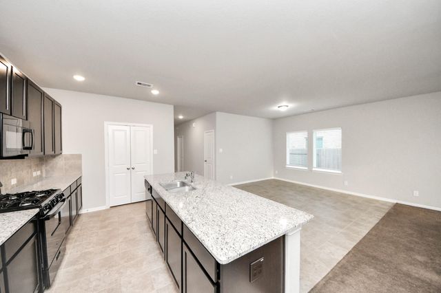 11009 Cathedral Peak Drive, Rosharon, TX 77583