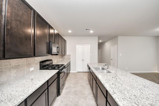 11009 Cathedral Peak Drive, Rosharon, TX 77583