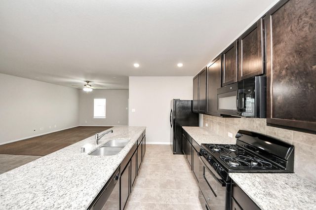 11009 Cathedral Peak Drive, Rosharon, TX 77583