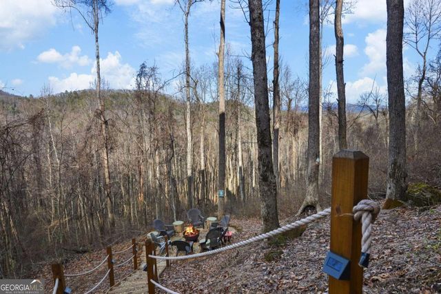 401 Dancing Leaves Trail, Blue Ridge, GA 30513