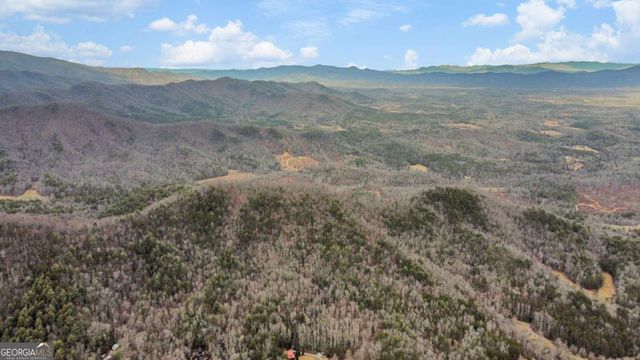 401 Dancing Leaves Trail, Blue Ridge, GA 30513