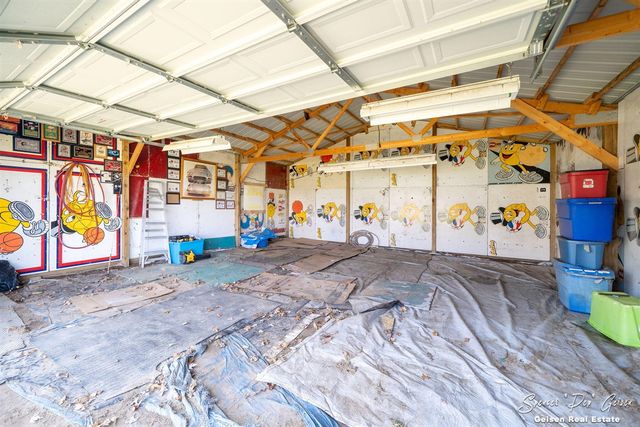14249 Heffron Road, Belding, MI 48809