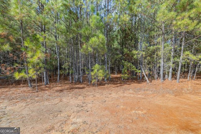 111 Leland Hills Drive, Clarkesville, GA 30523