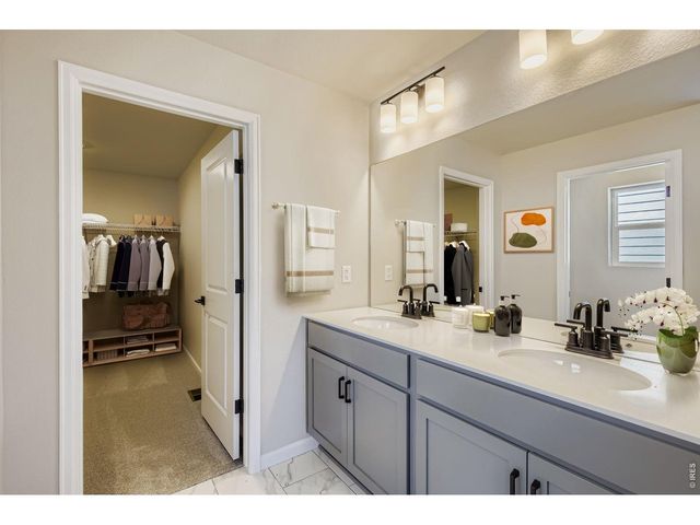 771 Wood Sorrel Ln, Fort Collins, CO 80524